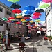 20years old male looking for a room in Venice (2 semesters)