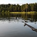 Hilkka