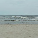 Antonina