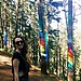 Nice and outgoing girl is looking for a room in Krakow