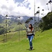 Jimena