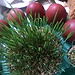 Easter traditions in Georgia
