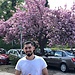 Murad