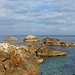Ylenia