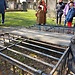 Edimburgo... una città magica!
