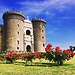 Education in Naples