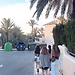 alba