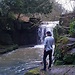 Conal