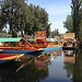 Lago de Xochimilco
