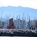 El mar y su malecón de historia