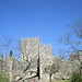 Castillo de Guimarães