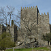 El pequeño castillo de Guimarães