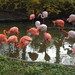 El Zoo de Riga