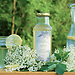Elderflower syrup