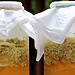Elderflower syrup