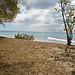 Paradise beach