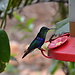Ecuador
