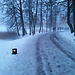 Trakai