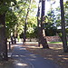 Erasmus all'università di Bordeaux