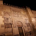 Erasmus a Cordoba