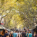 Erasmus Experience in Barcelona, Spain by Elena
