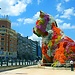 Erasmus Experience in Bilbao, Spain by Somi