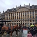 Erasmus Experience in Brussels, Belgium, by Roxana