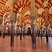 Erasmus Expérience dans Córdoba, Espagne par Elise