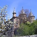 Erasmus Experience in Girona, Spain by Hazal