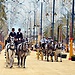 Erasmus experience in Jerez de la Frontera, Spain