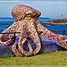 Erasmus Expérience dans La Corogne, Espagne par Fantine