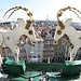 Erasmus Experience in Poznan, Poland by Vita