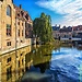 Erasmus Experience in Rotterdam, Netherlands by Florin