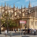 Erasmus Experience in Sevilla, Spain by Maciek