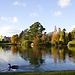 Erasmus Experience in Sheffield, United Kingdom, by Julia