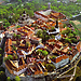 Erasmus Experience in Tallinn, Estonia by Delia