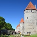 Erasmus Experience in Tallinn, Estonia by Teddy