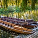 Erasmus Experience in Tübingen, Germany, by Sandra