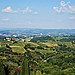 Erasmus en Roma