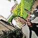 Erasmus en Roma