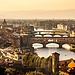 Erasmus students... Go to Florence!