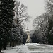 Erasmusowe doświadczenie w Karlsruhe, Niemcy dzięki Alejandro