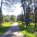 Escape Camp