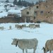 España - Una gran nevada nevada