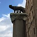 Esperienza Erasmsus a Roma, Italia di Laura