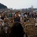 Esperienza erasmus a Liegi, Belgio di Leticia
