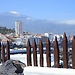 Esperienza a Santa Cruz de Tenerife, Spagna di Ines