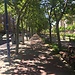 Estudiar arquitectura en Valladolid
