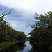 Everglades