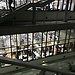 NCBS (Nartional Centre for Biological Sciences)